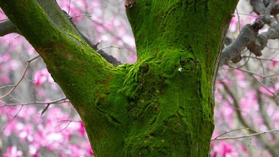 Ecologie Humaine