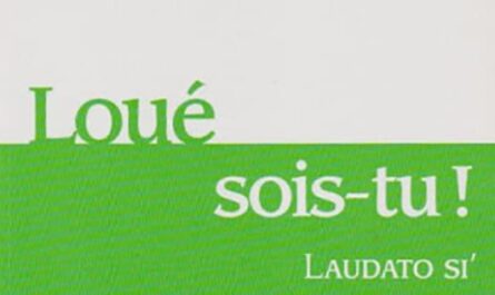 Laudato Si, Loué Sois-tu, 5ème année