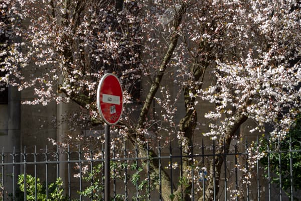 jardin Saint Ambroise