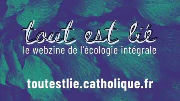webzine de tout est lié, site