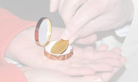 Hostie, Porter la communion aux malades