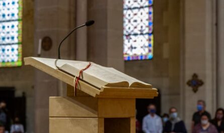 Lecture sur Laudato Si à Saint-Ambroise