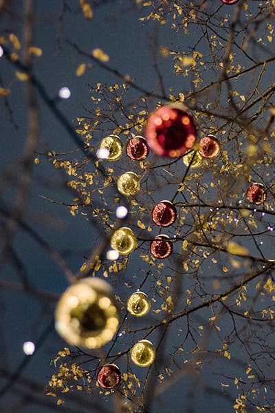 concours photo joie