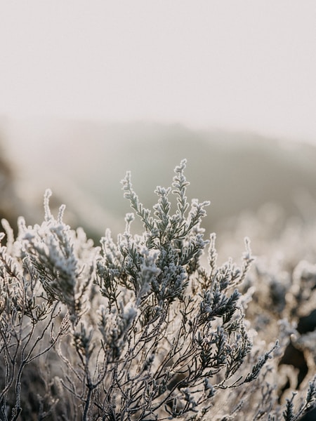 hiver froid