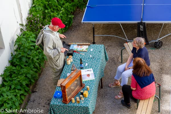 Fête de la Maison du Sept - Ruche d'abeilles- démonstration