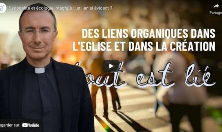 Tout est lié, webzine numéro 11