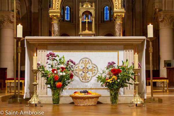 sainte teresa de calcutta 15