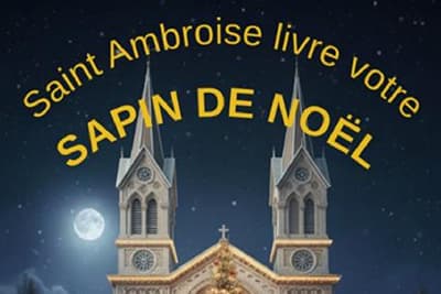 Livraison de sapins de Noël 2025