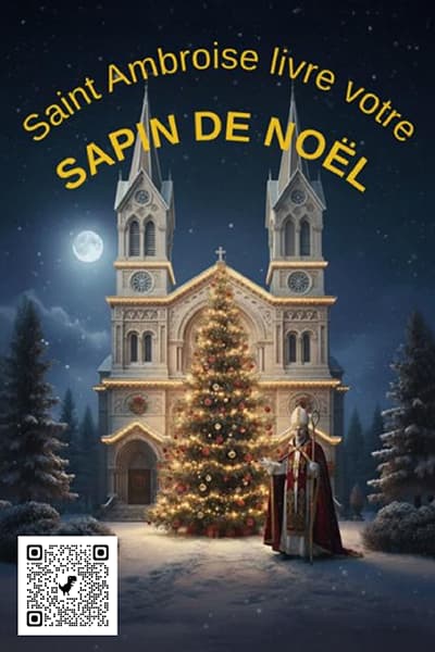 Sapins de Noël