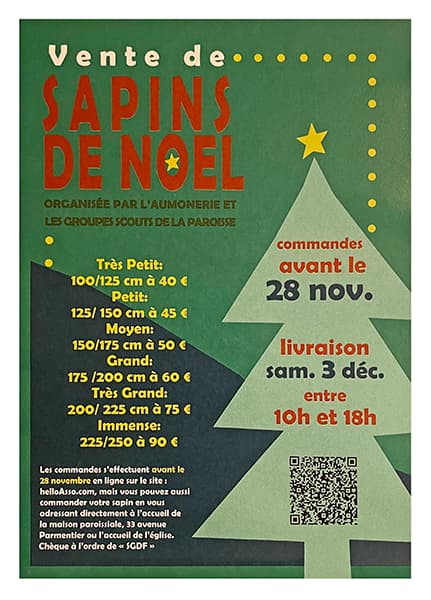 Sapin de Noël 2022 livraison gratuite à Paris - site