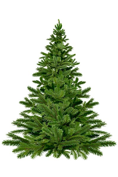 Sapin de Noël livraison gratuite à Paris