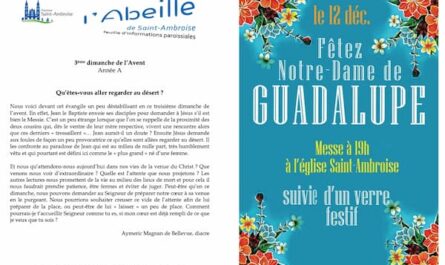 Fip 49 du 11 décembre 2022 Saint Ambroise - Tract