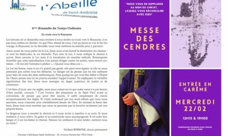 Fip 06 du 12 février 2023 - Bannière