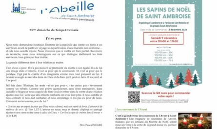Fip du 33ème dimanche 2023, bannière