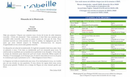 Fip dimanche de la Miséricorde 2024, flyer