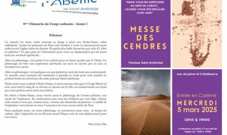 FIP 8eme Dimanche du TO 2025