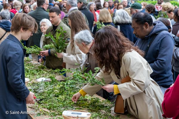 Dimanche des Rameaux