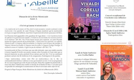 FIP dimanche de la Misericorde 2026 flyer