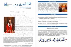 FIP 13eme dimanche TO 2026 Flyer