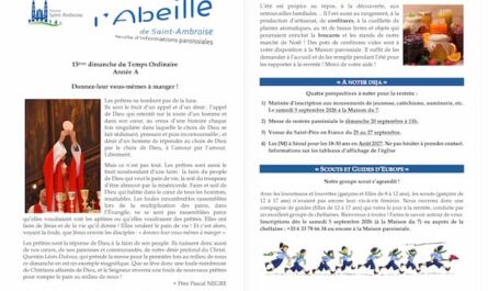 FIP 13eme dimanche TO 2026 Flyer