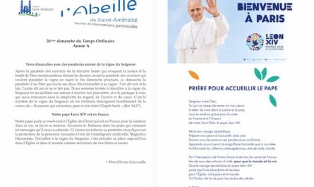 FIP TO 26 2026 09 27 flyer
